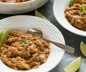 18 Best Keto Shredded Chicken Recipes