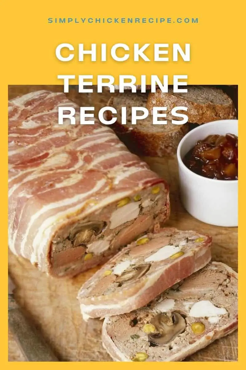 Best Chicken Terrine Recipes to Try
