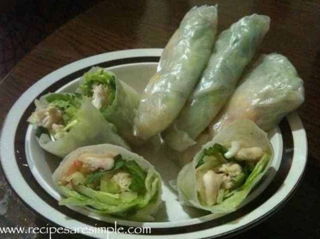 Vietnamese Fresh Spring Rolls with Chicken and Shrimp