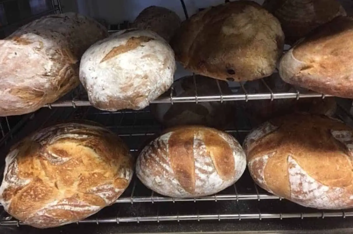 Sourdough-Bread-Store-it-in-a-microwave