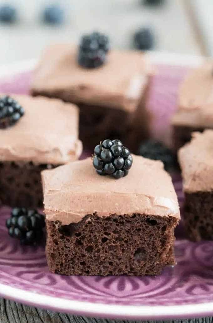 Chocolate-Cake-With-Protein-Powder